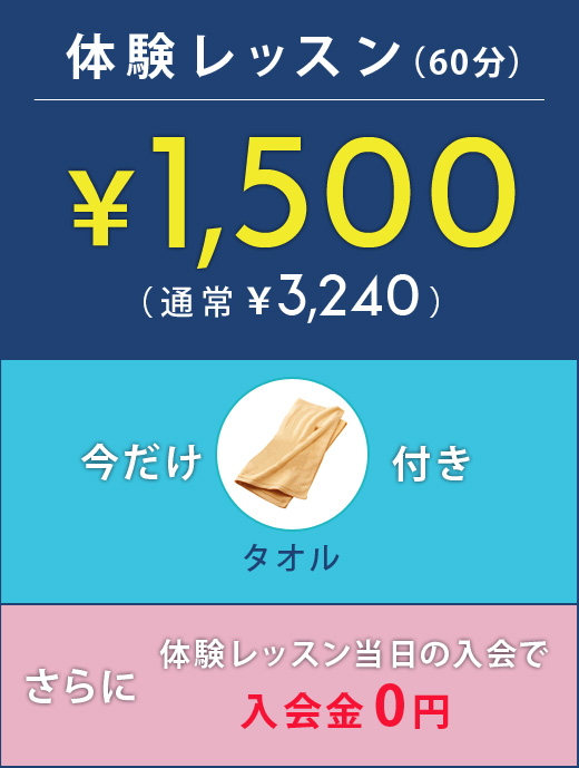 体験レッスン